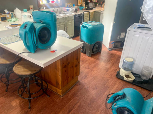 Best Water damage contractors near me  in Greenfields, PA