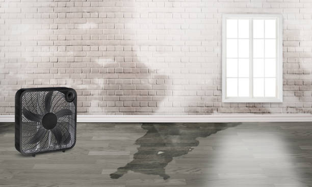 Best Water damage restoration mold remediation  in Greenfields, PA