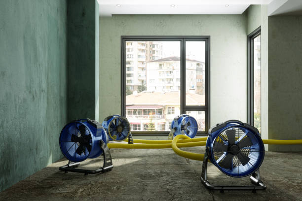 Water damage restoration mold remediation in Greenfields, PA