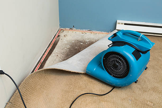 Reliable Greenfields, PA Water damage restoration Solutions
